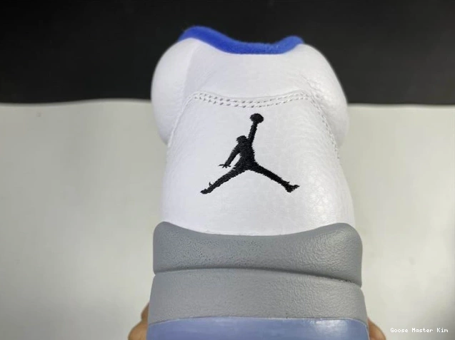Stealth Air 5 (2021) Jordan White DD0587-140 Retro 0819
